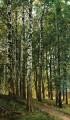 birch grove 1896 classical landscape Ivan Ivanovich trees